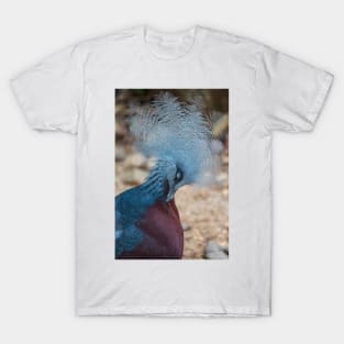 Victoria Crowned Pigeon T-Shirt